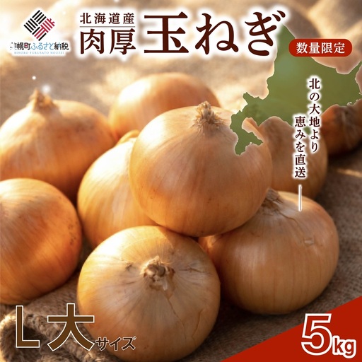 【 先行予約】玉ねぎ L大サイズ 5kg 美幌町産 (2026年10月以降順次発送) たまねぎ AF