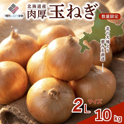 【 先行予約】玉ねぎ 2Lサイズ 10kg 美幌町産 (2026年10月以降順次発送) たまねぎ AF