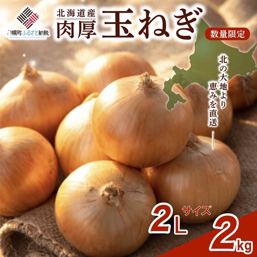 [ 先行予約]玉ねぎ 2Lサイズ 2kg 美幌町産 (2026年10月以降順次発送) たまねぎ AF