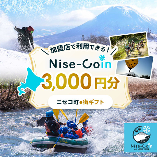 ニセコ町e街ギフト Nise-Coin 3,000円分[98001]