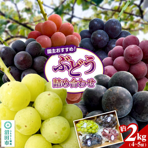 園主おすすめ! ぶどう詰め合わせ 約2kg(4〜5房)群馬県 沼田市 やまいしぶどう園 群馬県ぶどう品評会群馬県知事賞受賞