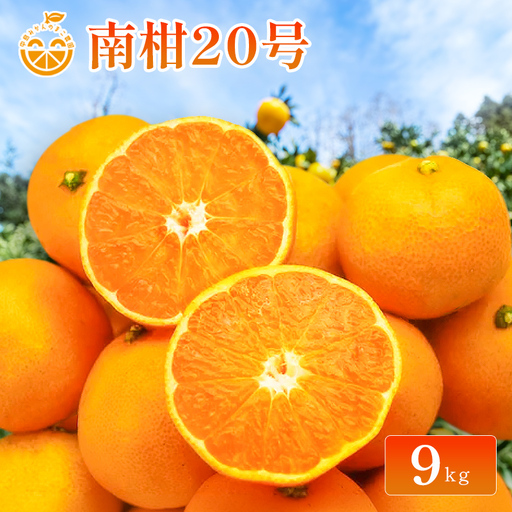 中島産 南柑20号 約9kg 愛媛産 みかん くだもの 【2026年11月下旬から順次発送】【PWA016】