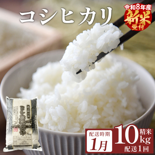 【1月配送】 ＜先行予約＞ 米 令和8年産 コシヒカリ 精米 10kg 単品 新米 こめ コメ お米 ご飯 白米 こしひかり