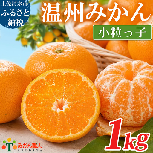 温州みかん 小粒っ子 1kg 傷み補償 300g 柑橘 果物 フルーツ 不揃い オレンジ 訳アリ 蜜柑 果実 みかん 極早生 早生 晩生 光センサー選果 みかん職人武田屋 高知県 土佐清水市[R01789]