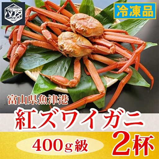 [冷凍]自社漁船直送!魚卸問屋の紅ズワイガニ 400g級×2ハイセット ※2026年9月〜発送