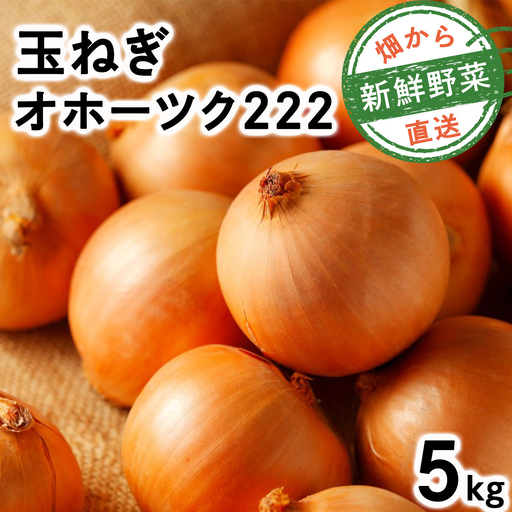 [順次配送]畑から直送の新鮮野菜!玉ねぎ(オホーツク222)5kg[a168-004-0]