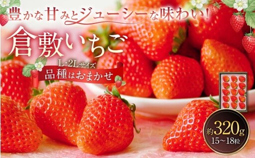 倉敷いちご 品種おまかせ L ・ 2L ( 15 〜 18粒 ) 約320g イチゴ いちご 苺 果物 くだもの フルーツ 果実 果肉 ジューシー 国産 岡山県産 冷蔵 [ 2026年12月上旬〜2027年3月下旬迄発送予定 ]