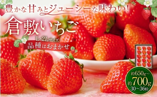 倉敷いちご 品種おまかせ L ・ 2L （ 30 ～ 36粒 ） 約650g ～ 約700g イチゴ いちご 苺 果物 くだもの フルーツ 果実 果肉 ジューシー 国産 岡山県産 冷蔵 【 2026年12月上旬～2027年3月下旬迄発送予定 】