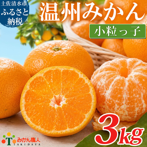 みかん 小粒っ子 3kg 傷み補償 300g 小玉 温州 みかん職人武田屋【R01790】