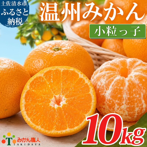 みかん 小粒っ子 10kg 傷み補償 300g 小玉 温州 みかん職人武田屋【R01792】