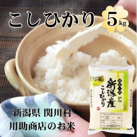R8年産 土作りからこだわった岩船産コシヒカリ 精米5kg[用助商店]【1779005】