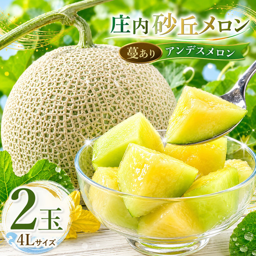 庄内砂丘アンデスメロン 4Lサイズ2玉(蔓あり) 令和9年産 K-935 菅原農園