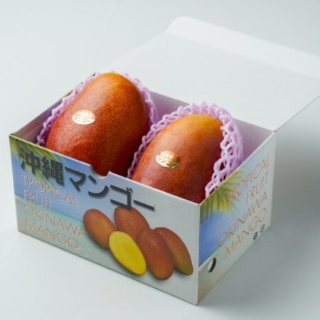 [2027年発送・糖度12度以上保証]野波さんの完熟アップルマンゴー2玉(1.0kg〜1.2kg)[配送不可地域:離島]