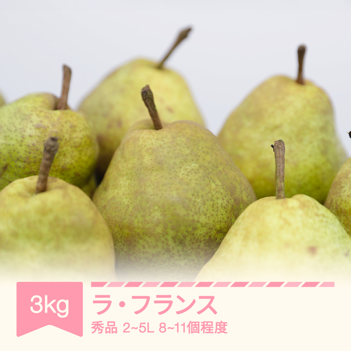 ラ・フランス 秀品 2~5L 約3kg (8~11個入り) 2026年産 令和8年産 nf-lasyx3