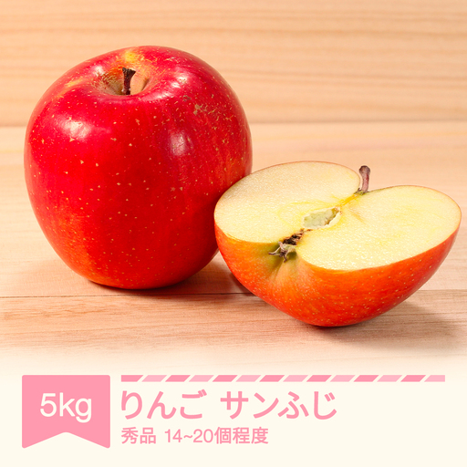 りんご サンふじ 秀品 約5kg (14~20個) 2026年産 令和8年産 nf-risfs5