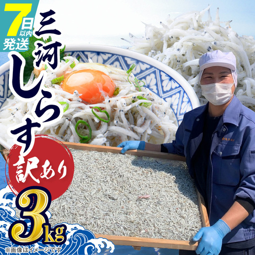 訳あり 3kg!バラエティ豊富な三河しらす