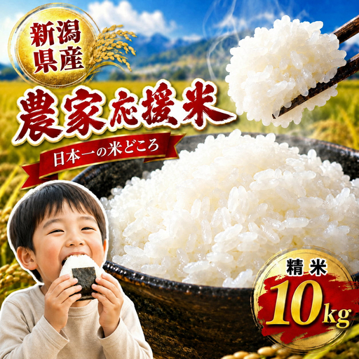 新潟県見附市産 生活応援米10kg 新米 お米 米 訳あり 白米 精米 新潟米 新潟 ブランド いち会