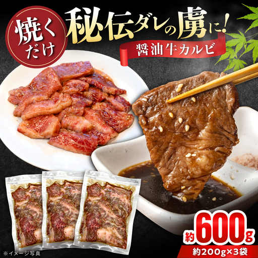 牛カルビ (味付け) 200g×3袋 / 牛肉 カルビ 愛知県産 / 瀬戸市 / 末広食肉販売店[BBEX006]