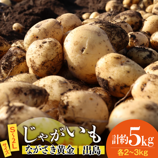 じゃがいも ながさき黄金 出島 じゃがいも食べ比べセット 計5kg