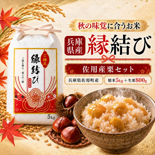 数量限定 【早期予約 10月上旬から順次出荷】令和8年産 新米 精米 兵庫県産 縁結び 5kg 佐用産栗800g