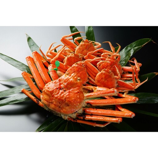 茹で間人ガニ夫婦セット(小) 11/10〜11/21発送予定