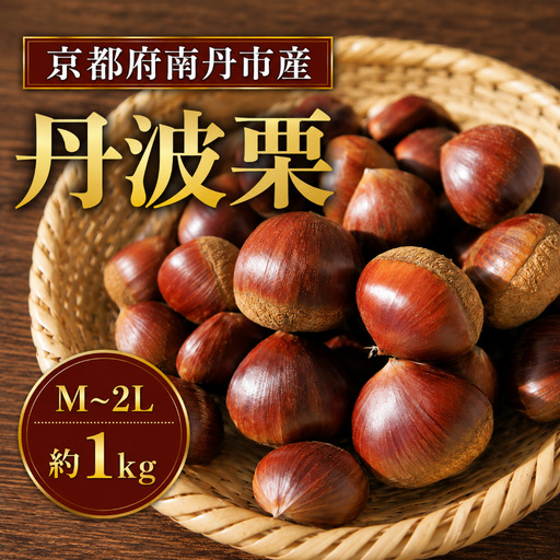 期間限定 丹波栗 1kg M~2Lサイズ混合 南丹市 京都府 京都 10月以降配送