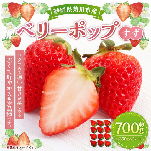 ベリーポップすず 約350g × 2パック 計約700g イチゴ いちご 苺 果物 くだもの フルーツ 果実 果肉 甘み 希少品種 希少性 国産 静岡県菊川市産 冷蔵 [ 2026年12月上旬〜2027年3月上旬まで順次発送予定 ]