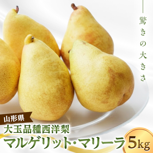 マルゲリット・マリーラ 5kg