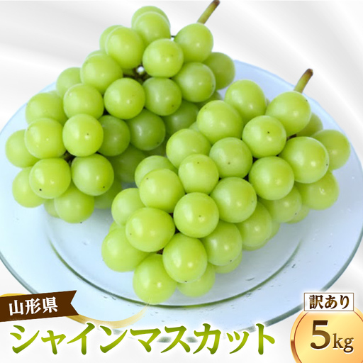 ご家庭用（訳あり）シャインマスカット 5kg FSY-2913