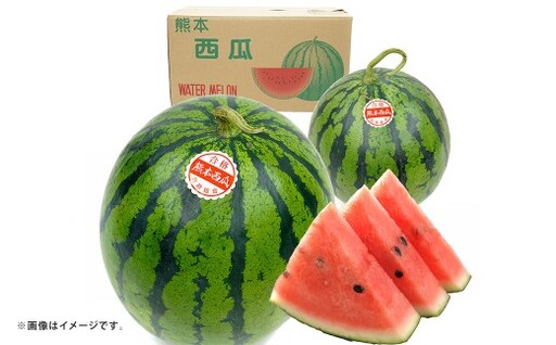 大玉すいか 1玉入り S以上 約2kg 先行予約 スイカ 西瓜 すいか 熊本すいか 果物 くだもの 果実 フルーツ [ 2027年5月上旬 〜 6月下旬 発送予定 ]