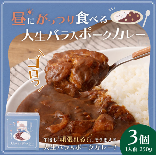 昼にがっつり食べる人生バラ入ポークカレー 250g （ 3個セット ） 計750g