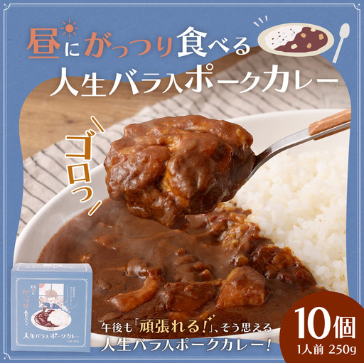 昼にがっつり食べる人生バラ入ポークカレー 250g （ 10個セット ） 計2,500g