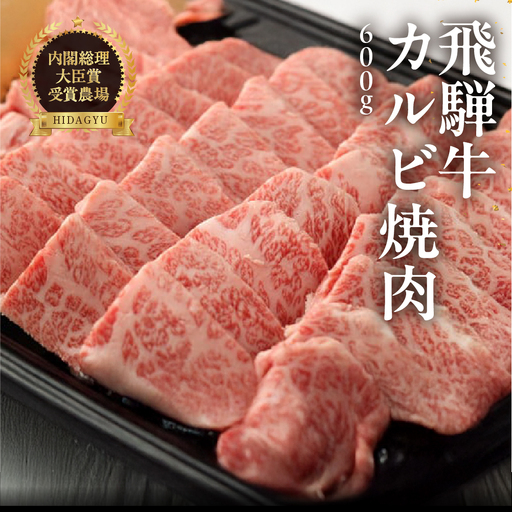 【2026年12月発送】飛騨牛カルビ焼肉  600g【22-16(12)】