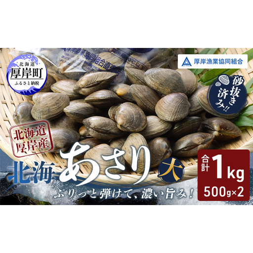 あさり【4月～6月発送】北海道 厚岸町産 天然 殻あさり(大)  500g×2　【厚岸漁業協同組合】[ アサリ 貝 味噌汁 酒蒸し 混ぜご飯 ] 