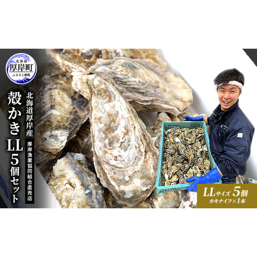 牡蠣 殻付き 生食 LL5個 北海道 厚岸産 マルえもん【厚岸漁業協同組合】カキナイフ付 [ カキ かき 生牡蠣 殻かき オイスター 冷蔵 ］