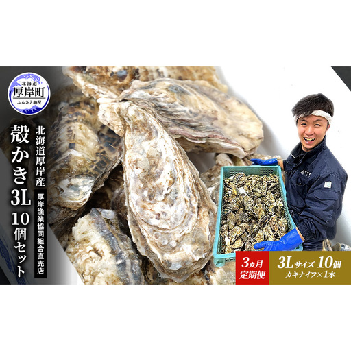 定期便 3ヵ月 牡蠣 殻付き 生食 3L10個 北海道 厚岸産 マルえもん【厚岸漁業協同組合】カキナイフ付 [ カキ かき 生牡蠣 殻かき オイスター 冷蔵 ］