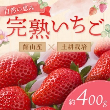 [先行予約 2027年1月中旬以降発送]旬の品種を厳選 至福の完熟いちご 約400g 化粧箱入り[配送不可地域:離島・沖縄県]