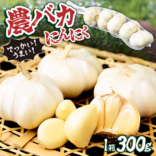 にんにく 農バカにんにく 1箱(300g・5〜8個) [限定箱] | にんにく ニンニク ガーリック 国産 300グラム にんにく ニンニク 東松山あそび農園 埼玉県 東松山市