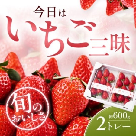 [先行予約 2027年1月中旬以降発送]旬の品種を厳選 至福の完熟いちご 約600g[配送不可地域:離島・沖縄県]