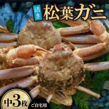 【先行予約】【活き】ご自宅用　松葉ガニ　中　3枚(1枚500～640g前後)※11月中旬から順次発送【配送不可地域：離島・北海道・沖縄県】【1763344】