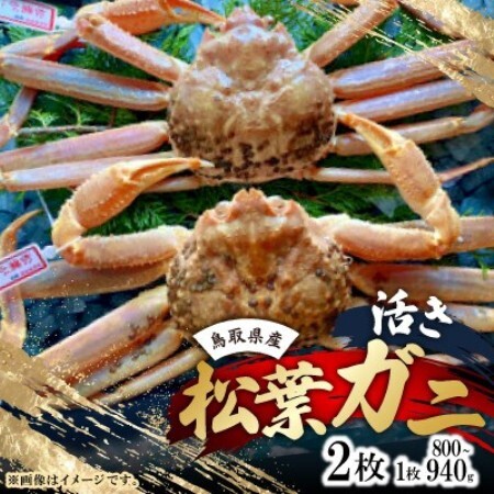 【先行予約】【活き】タグ付き松葉ガニ　大　2枚(1枚800～940g前後)　※11月中旬から順次発送【配送不可地域：離島・北海道・沖縄県】【1763369】