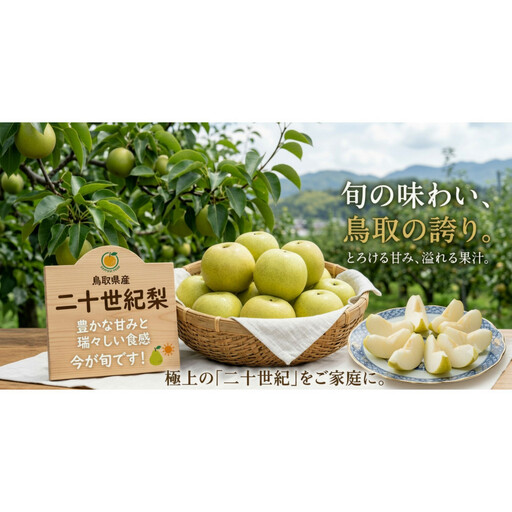 [先行予約]鳥取県産 二十世紀梨 3kg(8〜12玉) 良品 ご家庭用 / 梨 なし 青梨 和梨 2026年9月発送 フルーツ