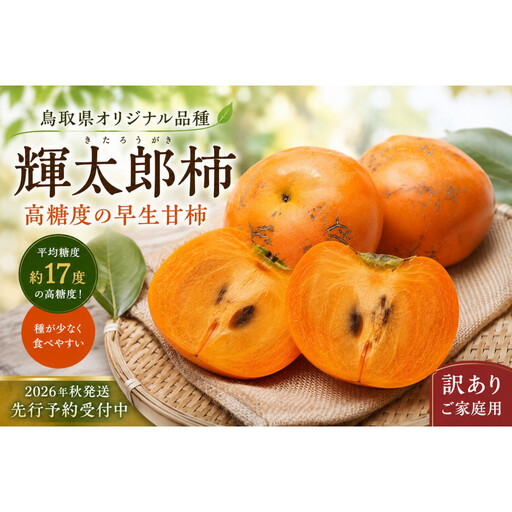 [先行予約][2026年秋発送]鳥取市産 輝太郎柿 約3kg[訳あり・ご家庭用]鳥取県オリジナル 高糖度 甘柿 種が少ない 秋の味覚