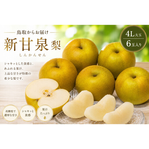 [先行予約]鳥取県産 新甘泉 梨 4Lサイズ 6玉 大玉 しんかんせん なし フルーツ 果物 鳥取オリジナル
