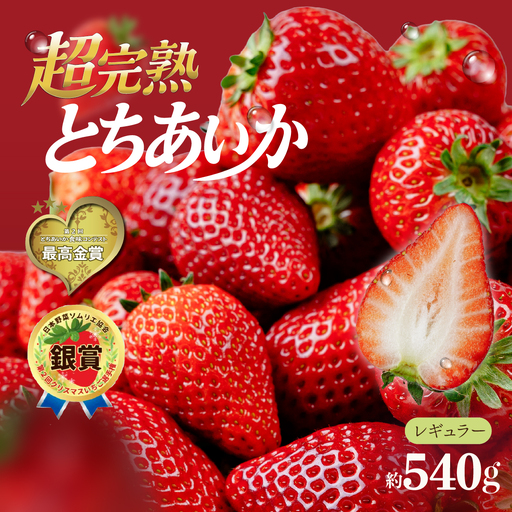 いちご【1月以降発送】朝採れとちあいか レギュラーサイズ 約270g × 2パック 合計 約540g |イチゴ いちご