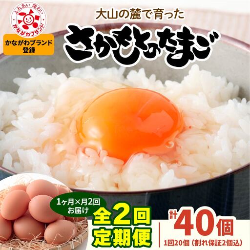 [定期便/1ヶ月×月2回] さかもとのたまご 20個 (18個+割れ保証2個) 合計40個 [1331]