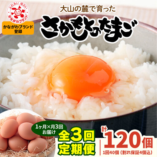 [定期便／1ヶ月×月3回] さかもとのたまご 40個 (36個＋割れ保証4個) 合計120個 [1468]
