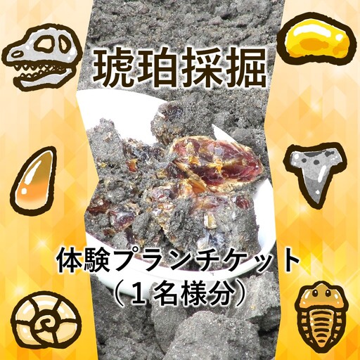 ＼恐竜時代の地層から琥珀を掘り出す本格体験/「琥珀採掘体験プラン」1名様分