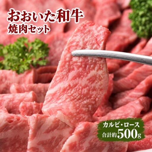 おおいた和牛 カルビ  ロース 焼肉 セット 合計 約500g | 津久見市