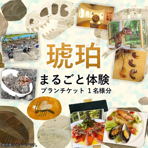 ＼まるっと1日琥珀を堪能しよう/「琥珀まるごと体験プラン」1名様分